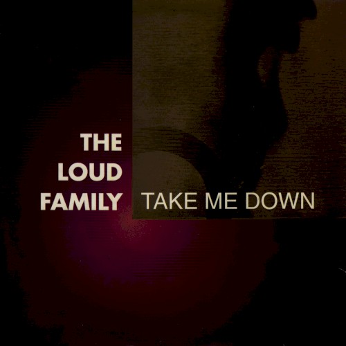 Take Me Down封面