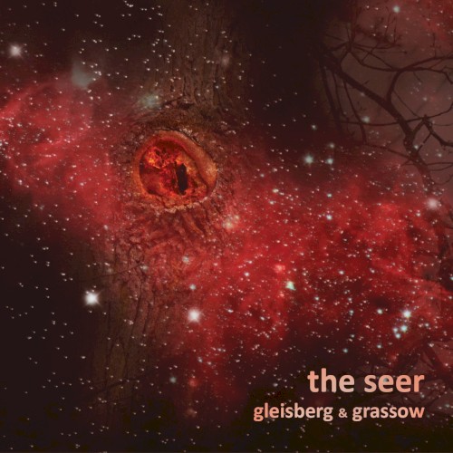 The Seer封面