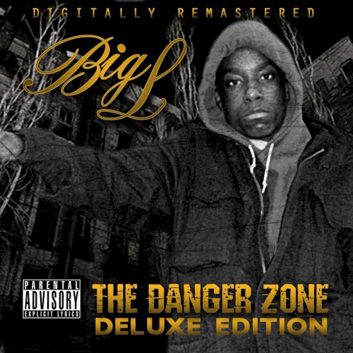 The Danger Zone封面