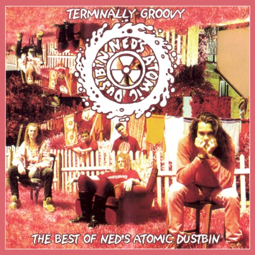 Terminally Groovy: The Best of Ned's Atomic Dustbin封面