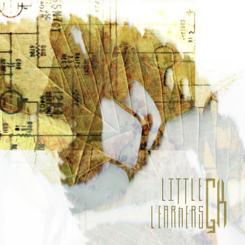 Little Learners封面