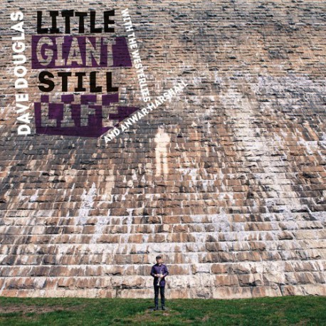 Little Giant Still Life封面