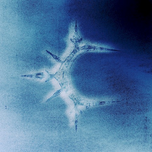 ICY BABY封面