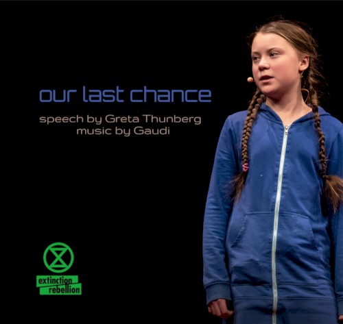 Our Last Chance封面