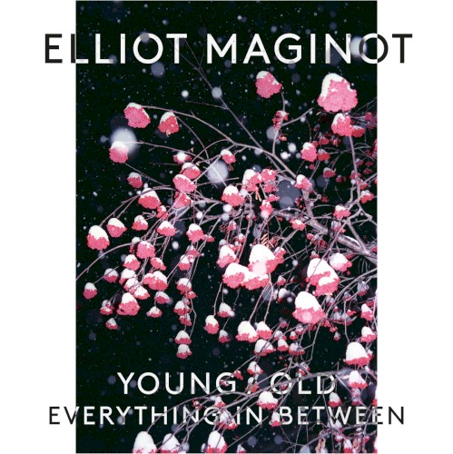 Young/Old/Everything.In.Between封面