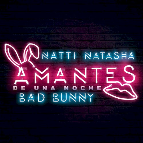 Amantes de una noche封面