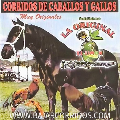Corridos de caballos y gallos封面