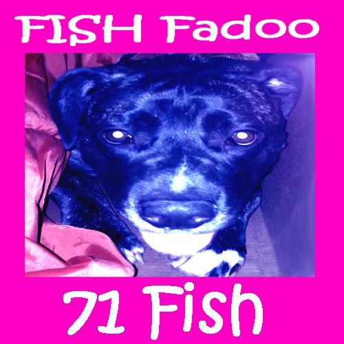 Fish Fadoo封面