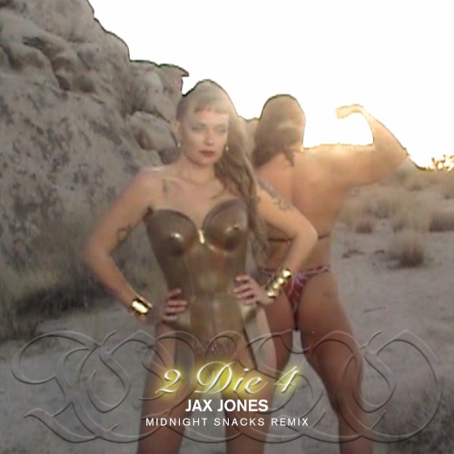 2 Die 4 (Jax Jones Midnight Snacks remix)封面