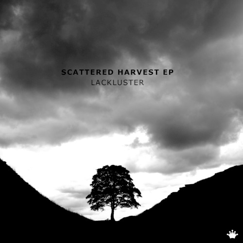 scattered harvest ep封面