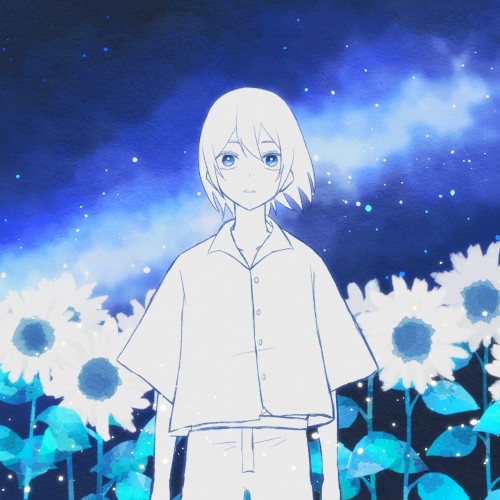 何時かの夏、君は綺麗だった。封面