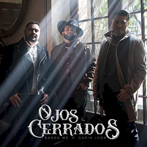 Ojos cerrados封面