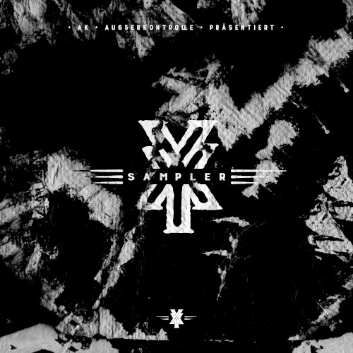 XY Sampler封面