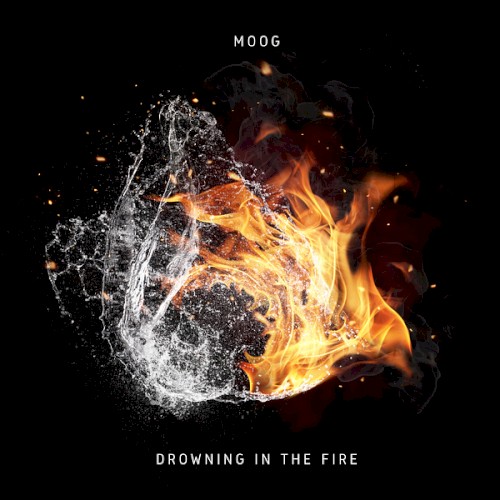 Drowning in the Fire封面
