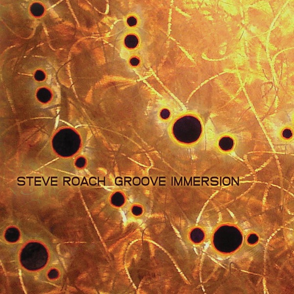 Groove Immersion封面