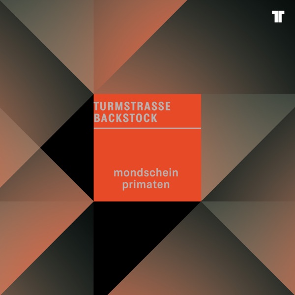 Mondschein Primaten封面
