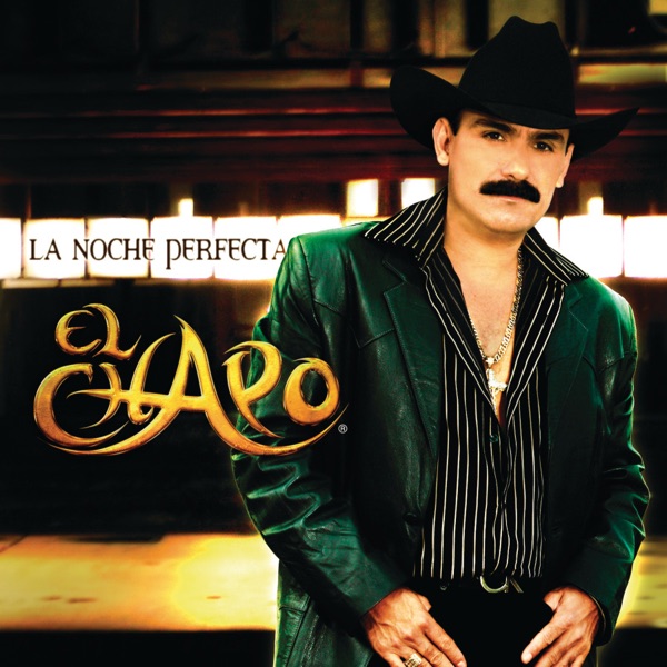 La noche perfecta封面