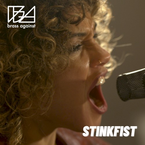 Stinkfist封面