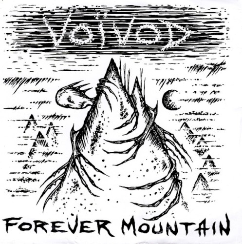 Forever Mountain / Phonetics for the Stupefied封面