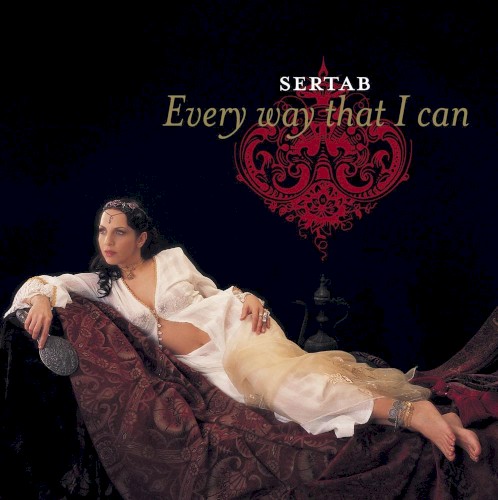 Everyway That I Can封面