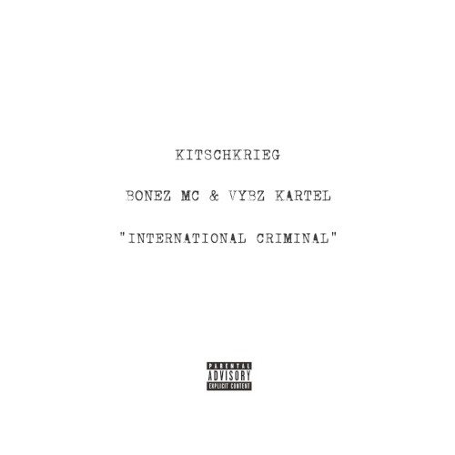 International Criminal封面