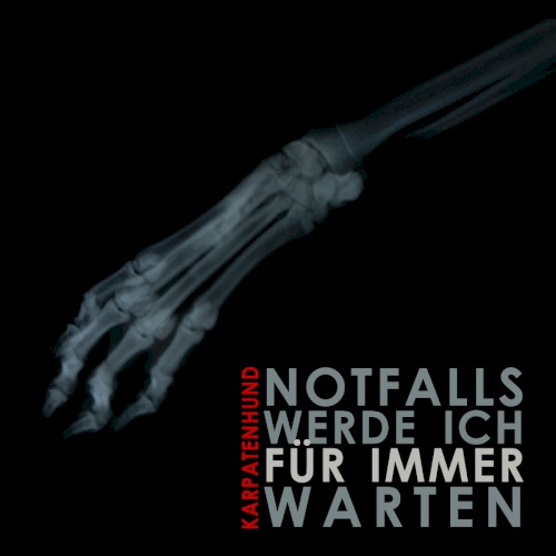 Notfalls werde ich für immer warten封面