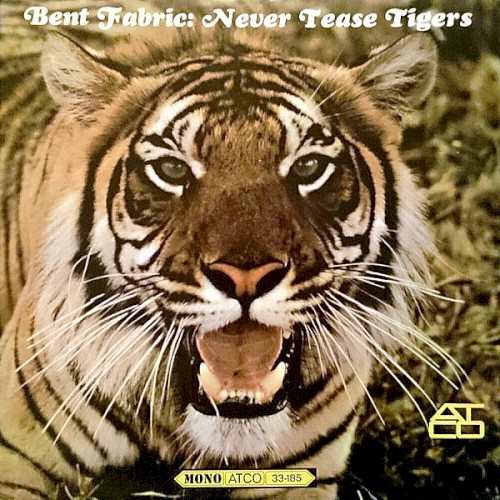 Never Tease Tigers封面