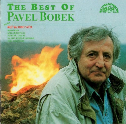 The Best of Pavel Bobek, Volume I封面
