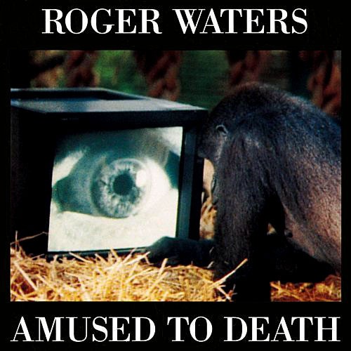 Amused to Death封面