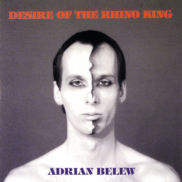 Desire of the Rhino King封面