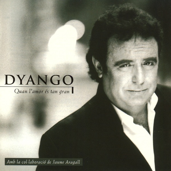 Quan l'amor és tan gran封面