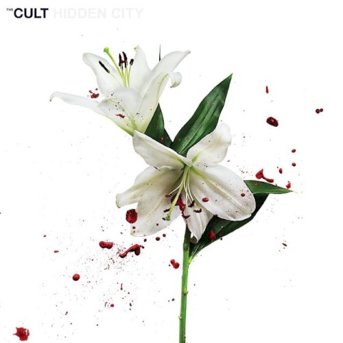 Hidden City封面