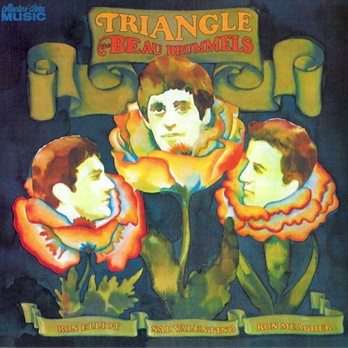 Triangle封面