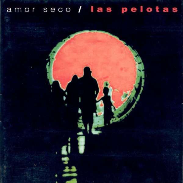 Amor seco封面