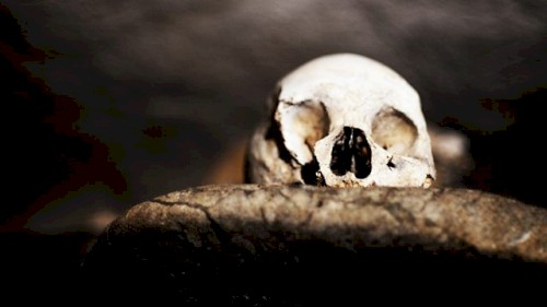 The Truth is a Cave in the Black Mountains封面
