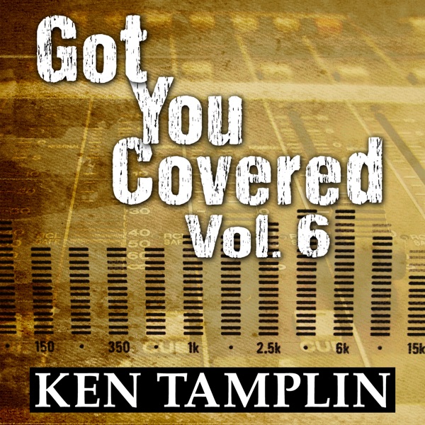 Got You Covered, Vol. 6封面