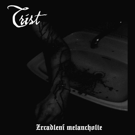 Zrcadlení melancholie封面
