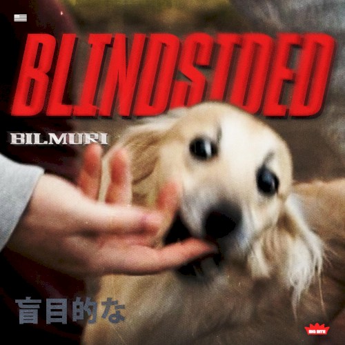 BLINDSIDED封面