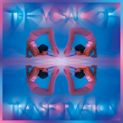 The Mosaic of Transformation封面