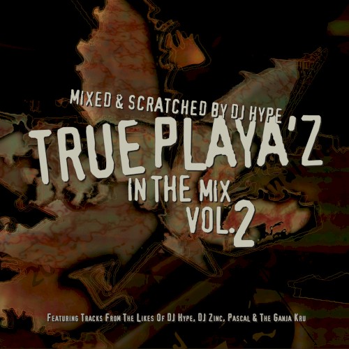 True Playaz in the Mix, Volume 2封面