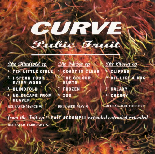 Pubic Fruit封面