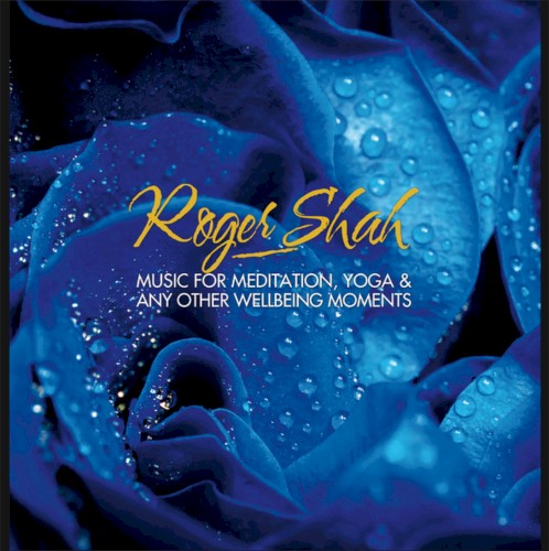 Music For Meditation, Yoga & Any Other Wellbeing Moments封面