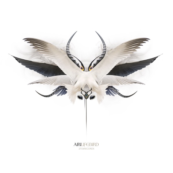 Lifebird封面