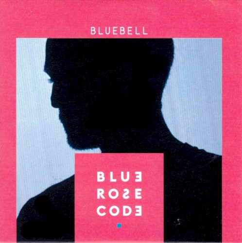 Bluebell封面