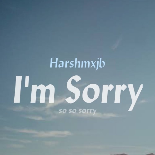 I'm Sorry封面