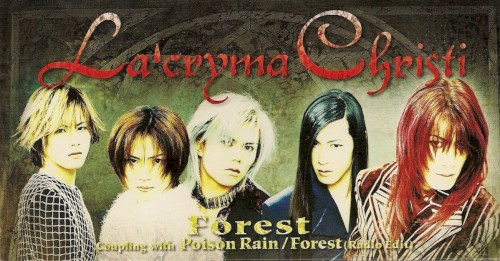 Forest封面