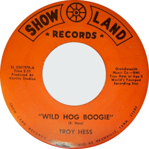 Wild Hog Boogie / Where Will Mommie Go封面