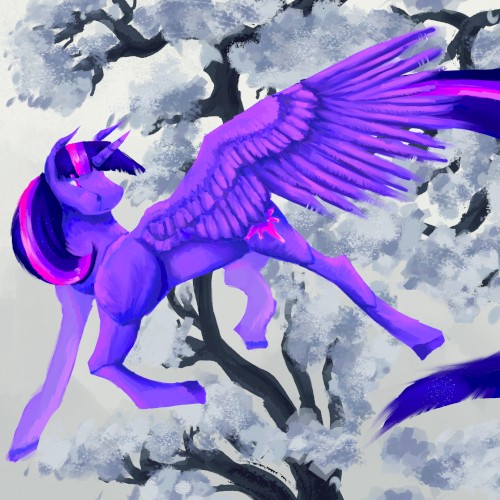 Horse Friends封面