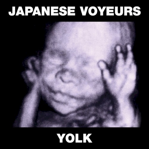 Yolk封面