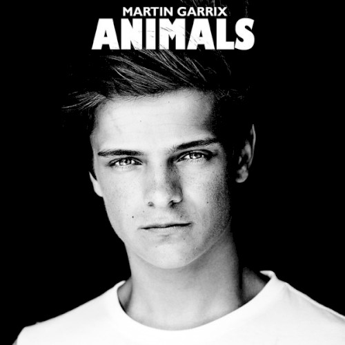 Animals (remixes)封面